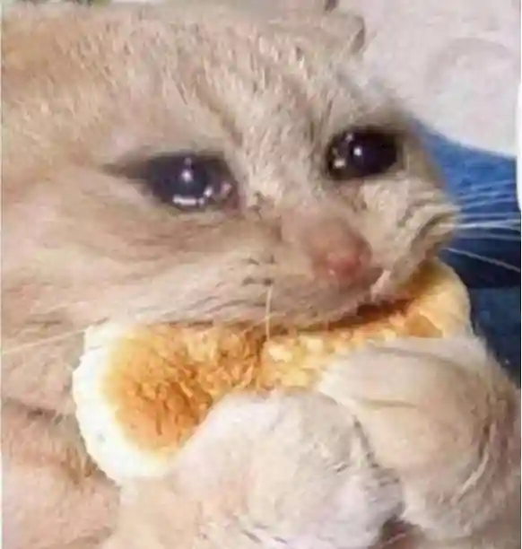 从新鲜到“熟透”？街头水果车惨变“烧烤摊”！西瓜、猕猴桃……都未幸免