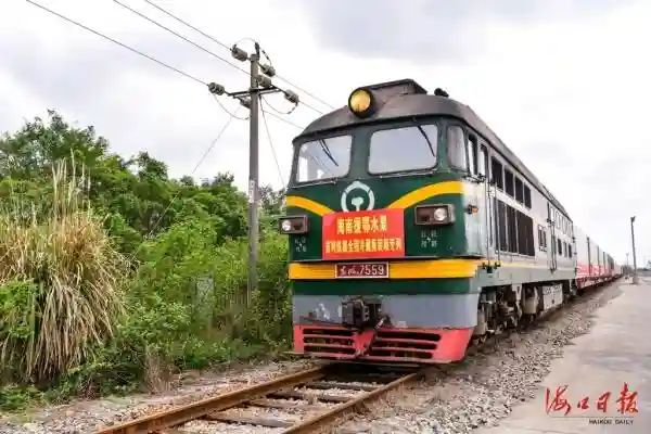 捐助新鲜水果395吨！海南首趟冷藏集装箱货物列车开赴荆州