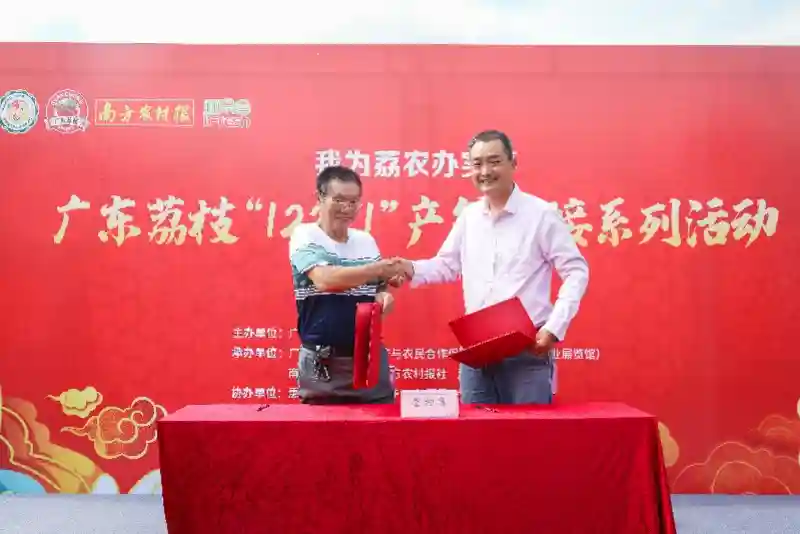 粤东荔枝大县吸引“水果猎人”今年产量预计同比约增两万吨
