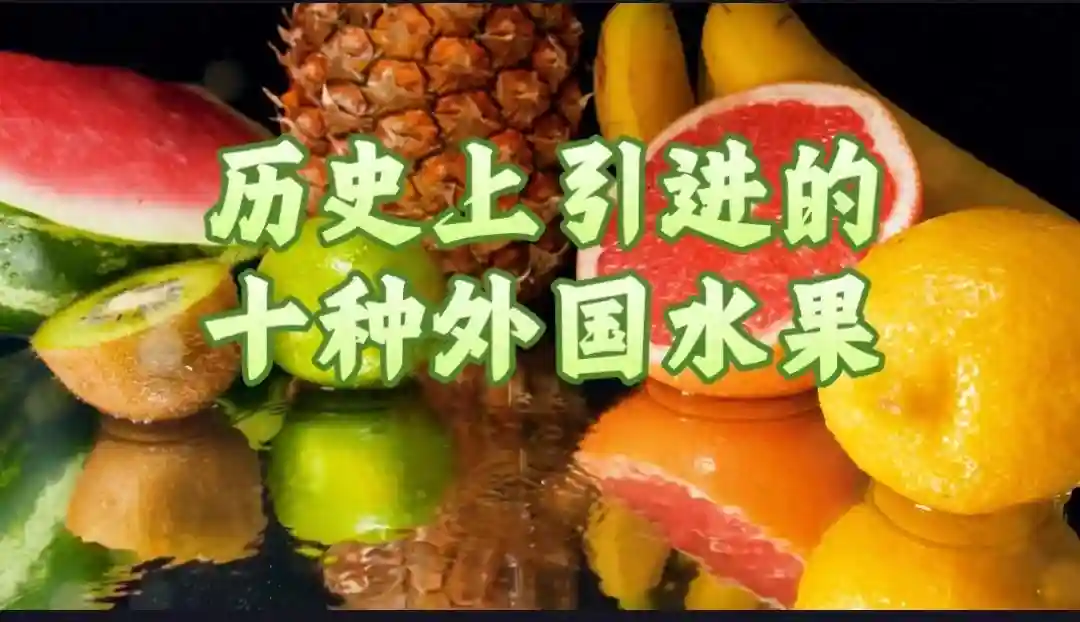 祖宗严选：中国老祖宗引进的十种外国水果，现在已经家喻户晓