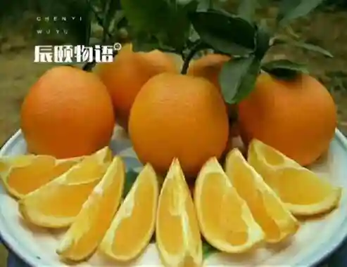 辰颐物语水果商城真心不错，辰颐物语微信电商平台值得信赖