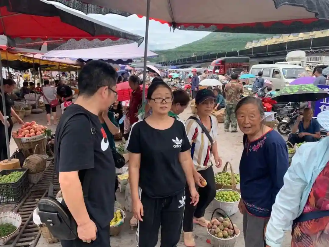 汉源县九襄镇水果交易市场李子购销两旺，买家卖家满意而归
