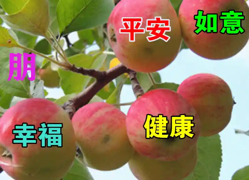 6月8日水果早上好动态表情图片大全，夏天早晨好美图大全