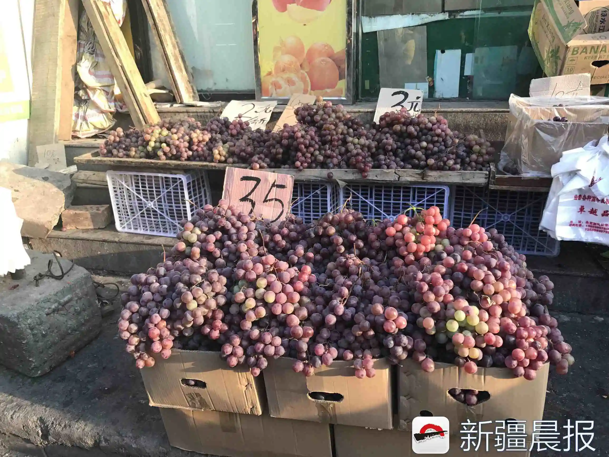新疆水果大丰收，乌鲁木齐市场上最便宜的葡萄两块钱一公斤