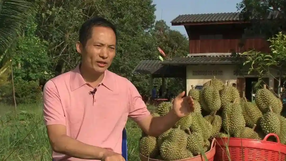 三年卖出8亿元！推三轮的小商贩如何成为东南亚的水果大王？