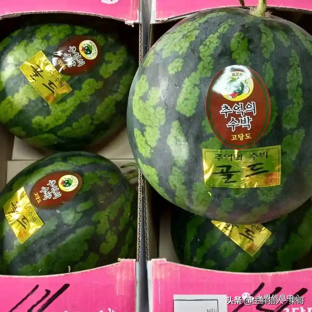 生鲜水果产品经营中的进销存是门大学问，如何科学的做好它？