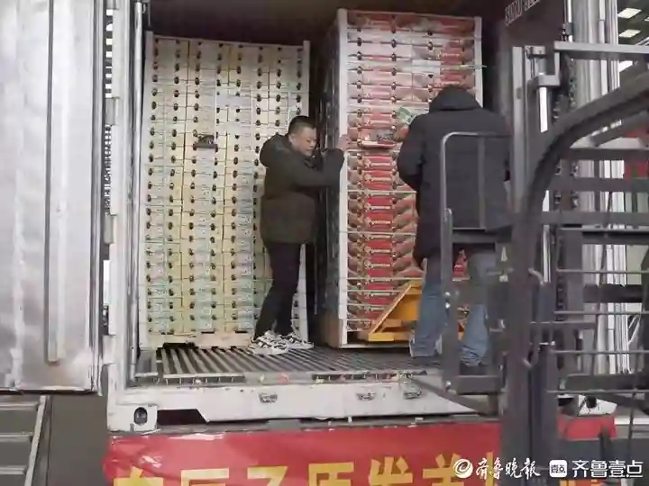 价格大幅下降，海运车厘子陆续抵达济清·江楠国际水果交易中心