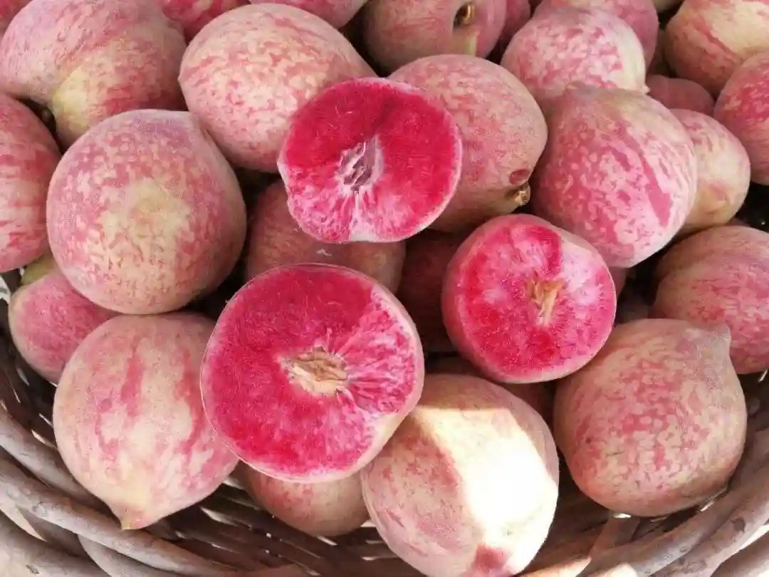 这种水果近期大量上市，果肉新鲜如血，单果重近半斤，营养又美味