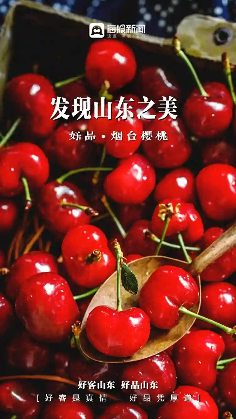 定格丨山东水果原来可以这么甜美！多种好品秋果首次飘香海外