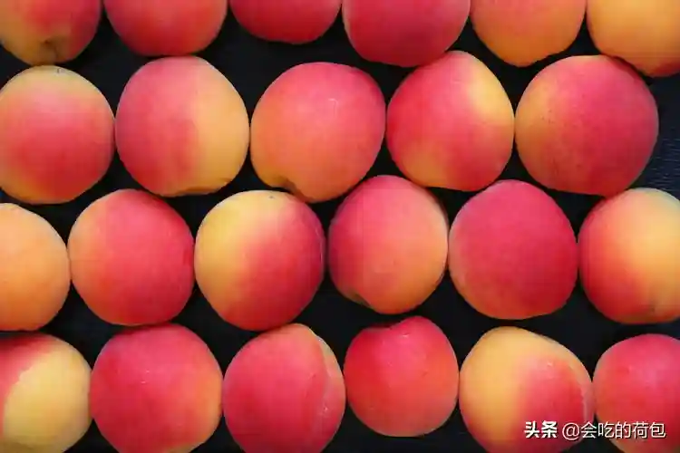 7月一种碱性水果正当季，买5斤囤起来，晒干保存，过阵子就少了