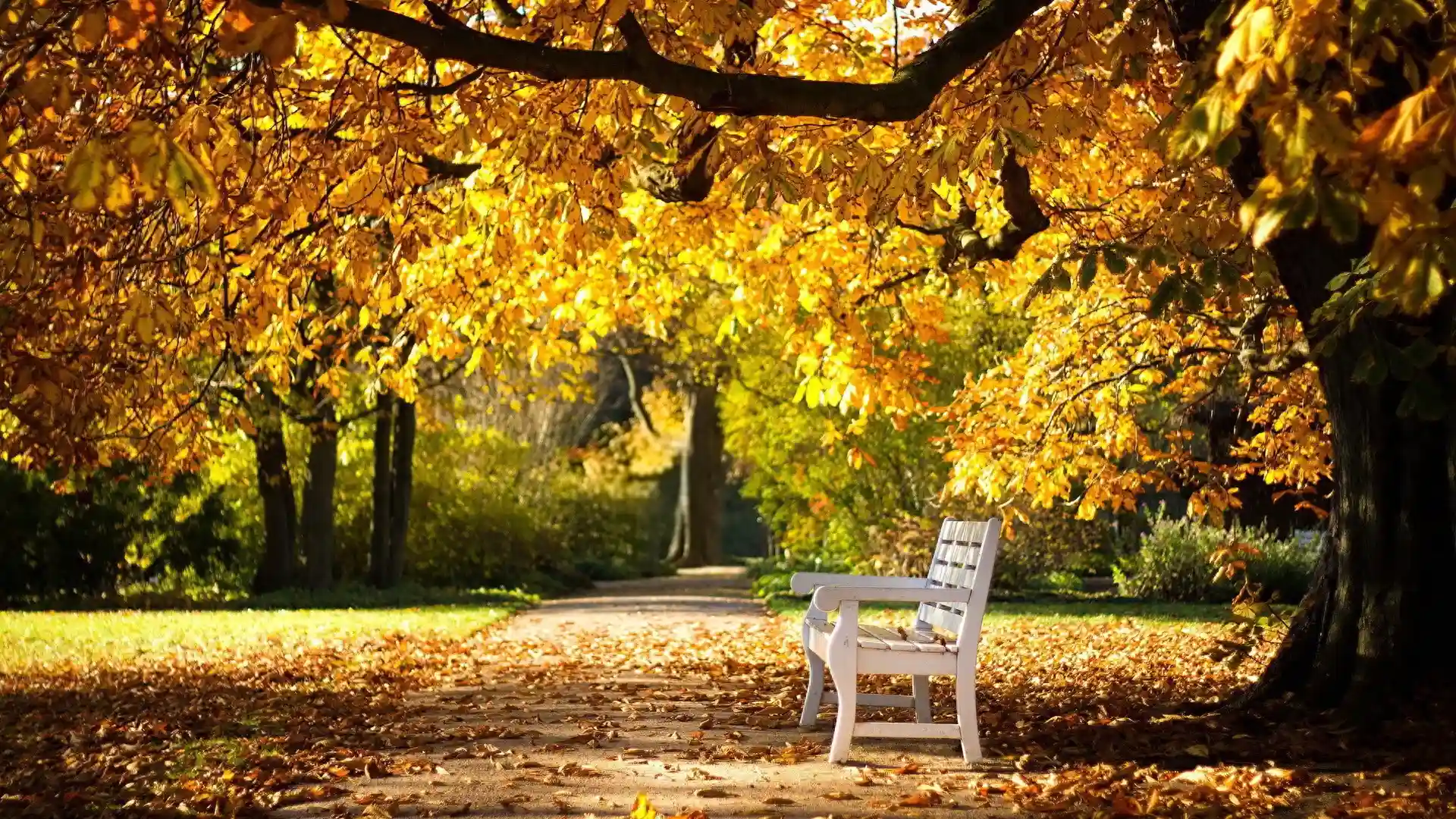 91年我去乡下收购水果，遇到暗恋的初中同桌：你还记得那个约定吗