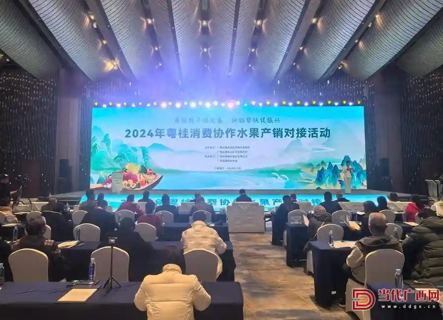 现场签约金额6025万元 2024年粤桂消费协作水果产销对接活动成果丰硕