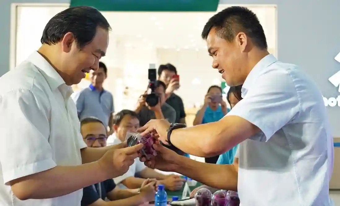 新零售能让水果更甜？一颗火龙果从地域特产到岭南大品的"进化"之路