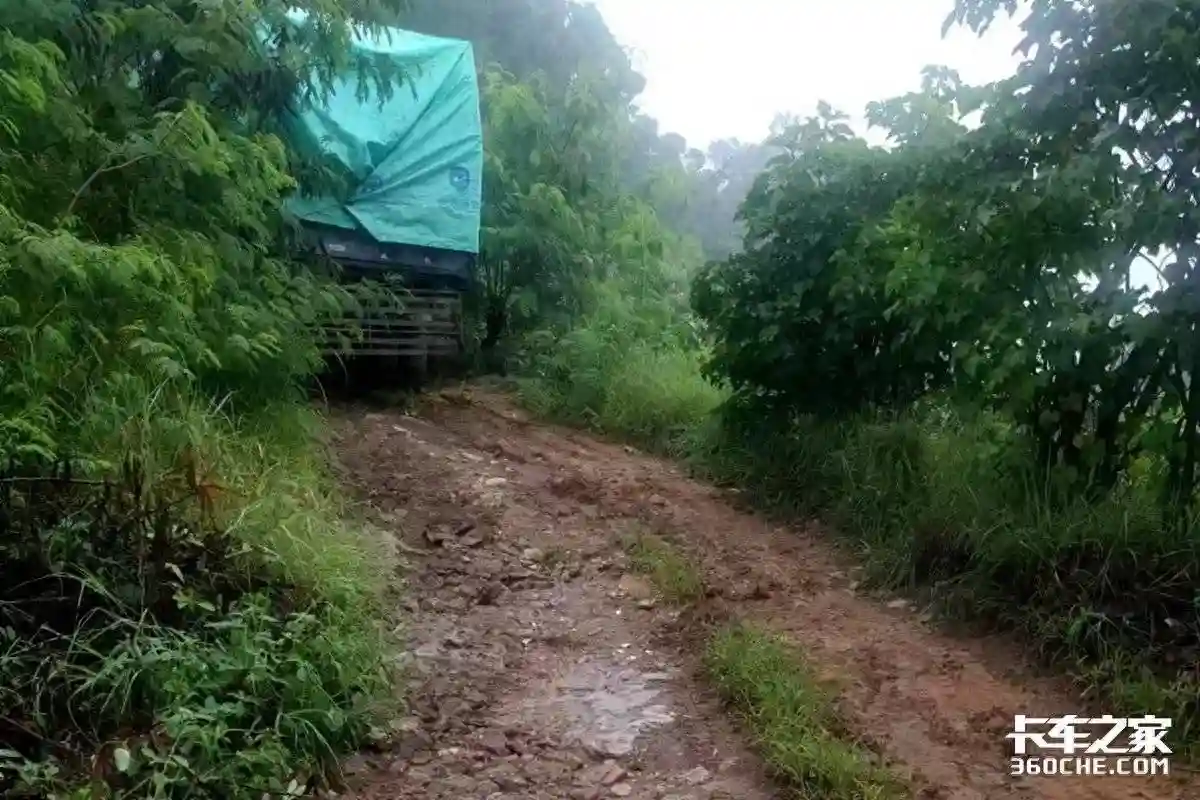 西南地区短途水果运输怎么选车？9年运输老司机相中德沃斯载货车