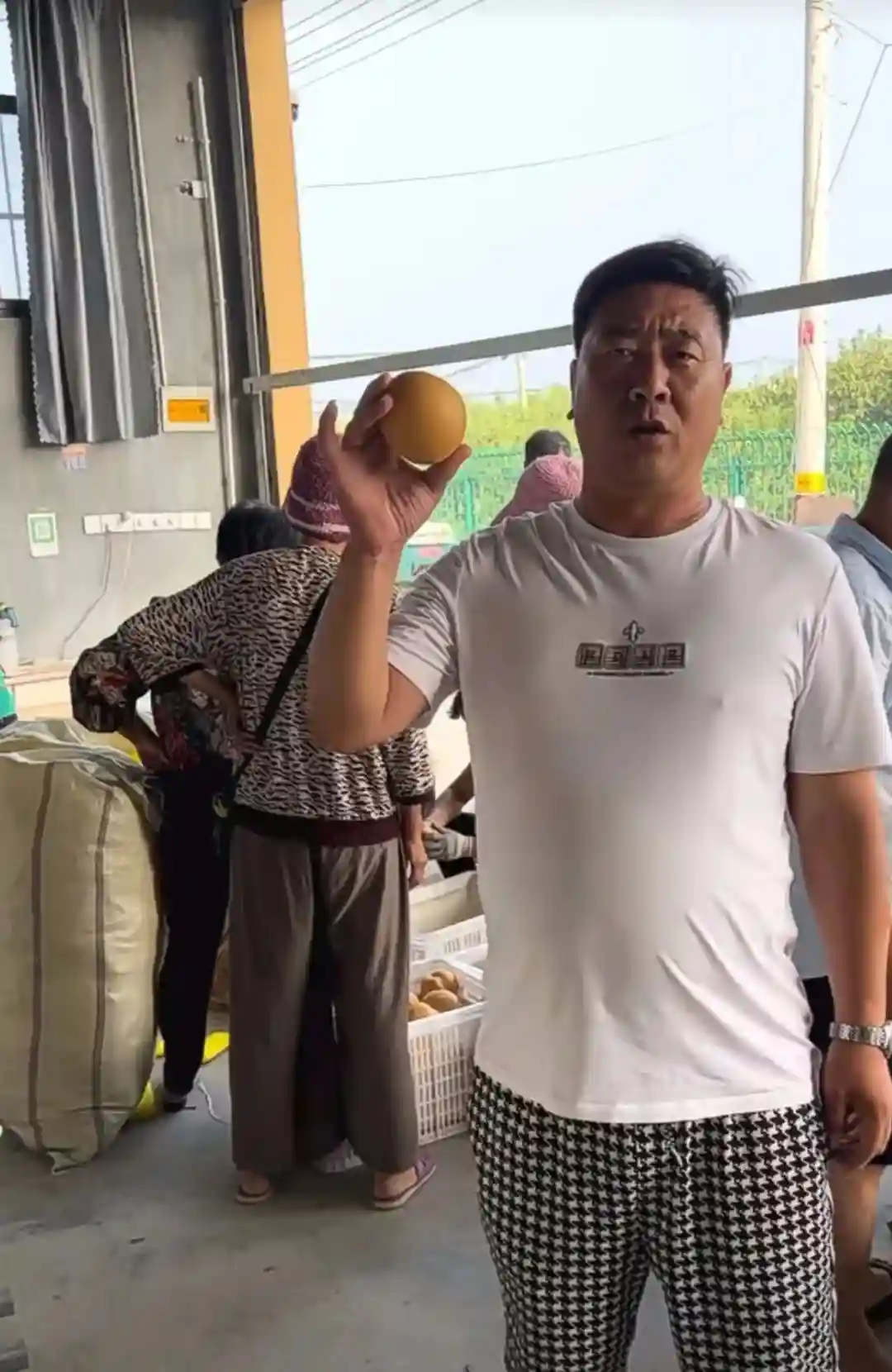 从小贩到年销400万斤梨的产地卖货能手！河北水果商说这2点最关键