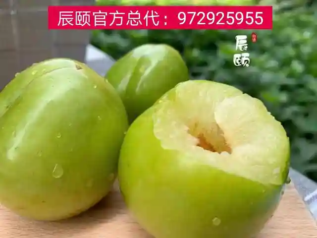 辰颐物语代理怎么加入？辰颐物语水果招募微商代理，优秀团队一对一扶持