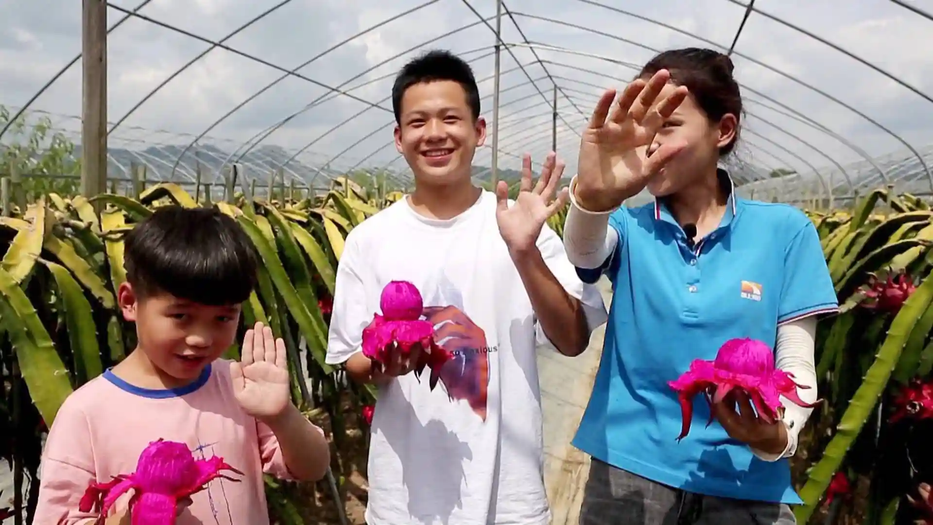 “仙人掌”上结红果，批发价一斤卖30元！热带水果也能种，7月结果摘到12月