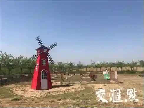 百村调研行｜水果论个卖，一只梨34元 盐城经开区三龙村：盐碱地开出五彩花