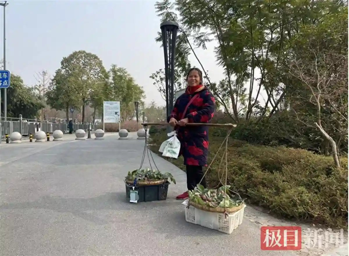 英语流利的“水果阿姨”是初中毕业，走红了但生意仍不好，曾梦想当英语老师