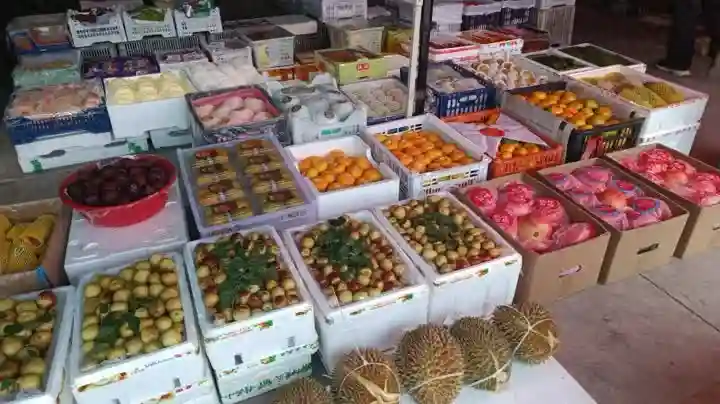 今年秋季水果价格怎么样？秋梨、冬枣、石榴、猕猴桃……抢鲜上市，阳光玫瑰低至2块多钱！