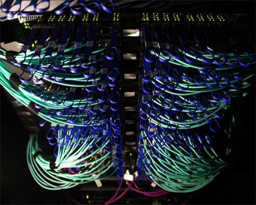 柯莱蒙蜜橘携手天天果园共探“水果品牌化”路径