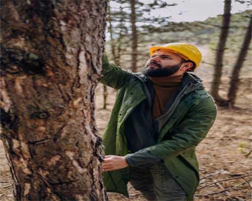 费列罗13亿美元收购家乐氏曲奇和水果零食业务