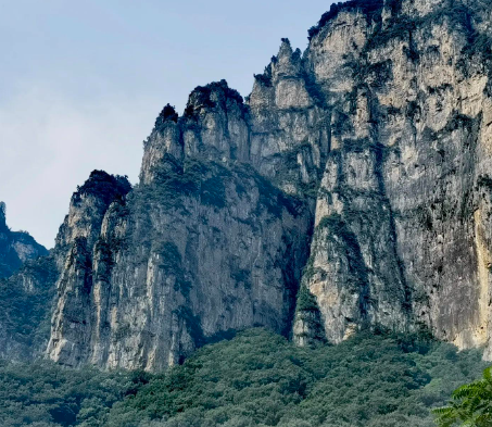 水果千层蛋糕的做法,水果千层蛋糕的家常做法
