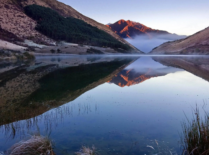 水果戚风奶油蛋糕